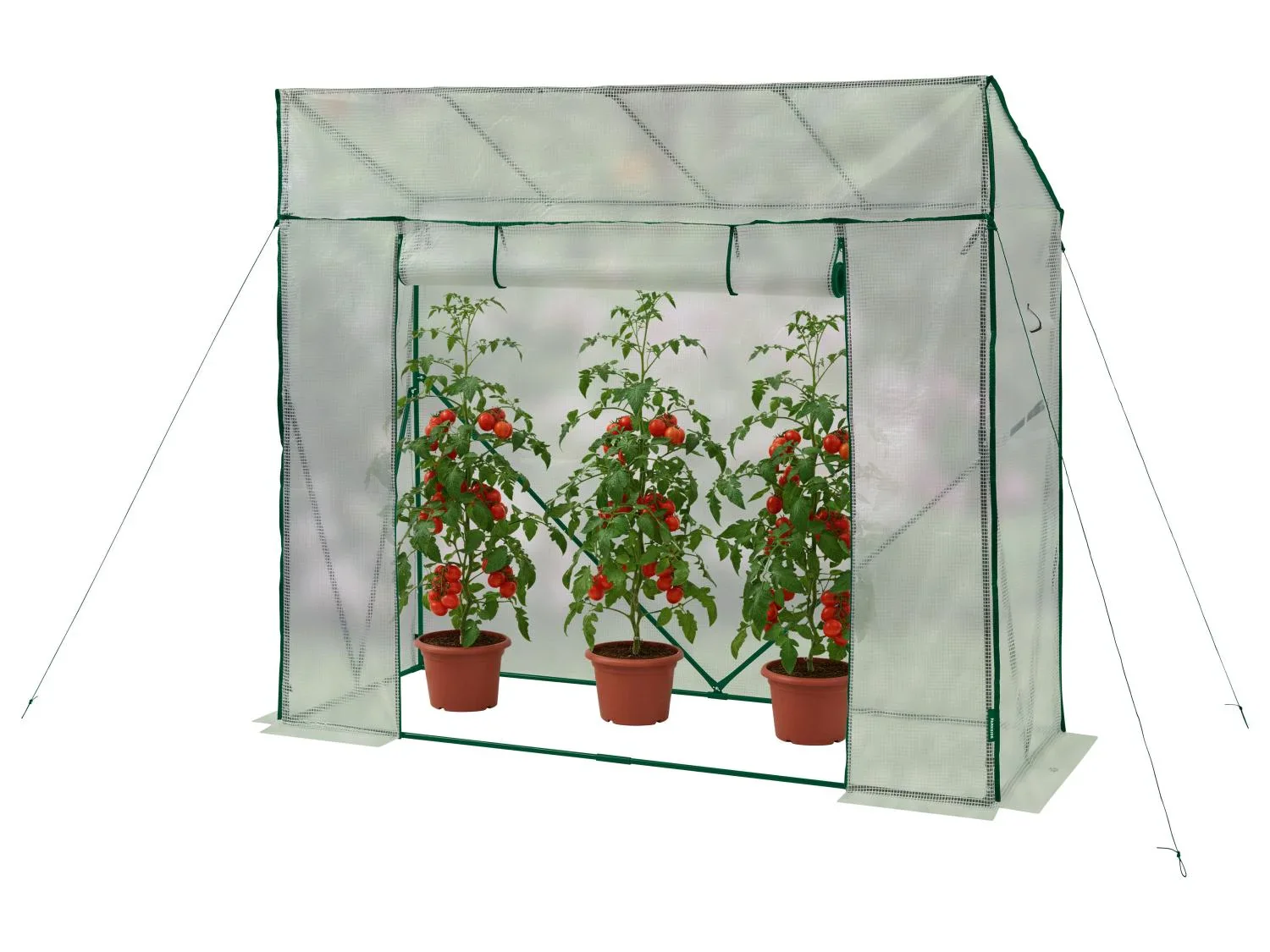 PARKSIDE Serre, 2,5 m