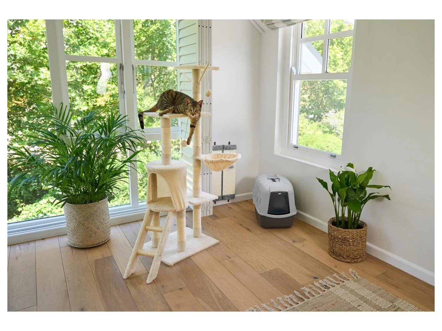 zoofari Arbre  chat, 84 x 42 x 139 cm