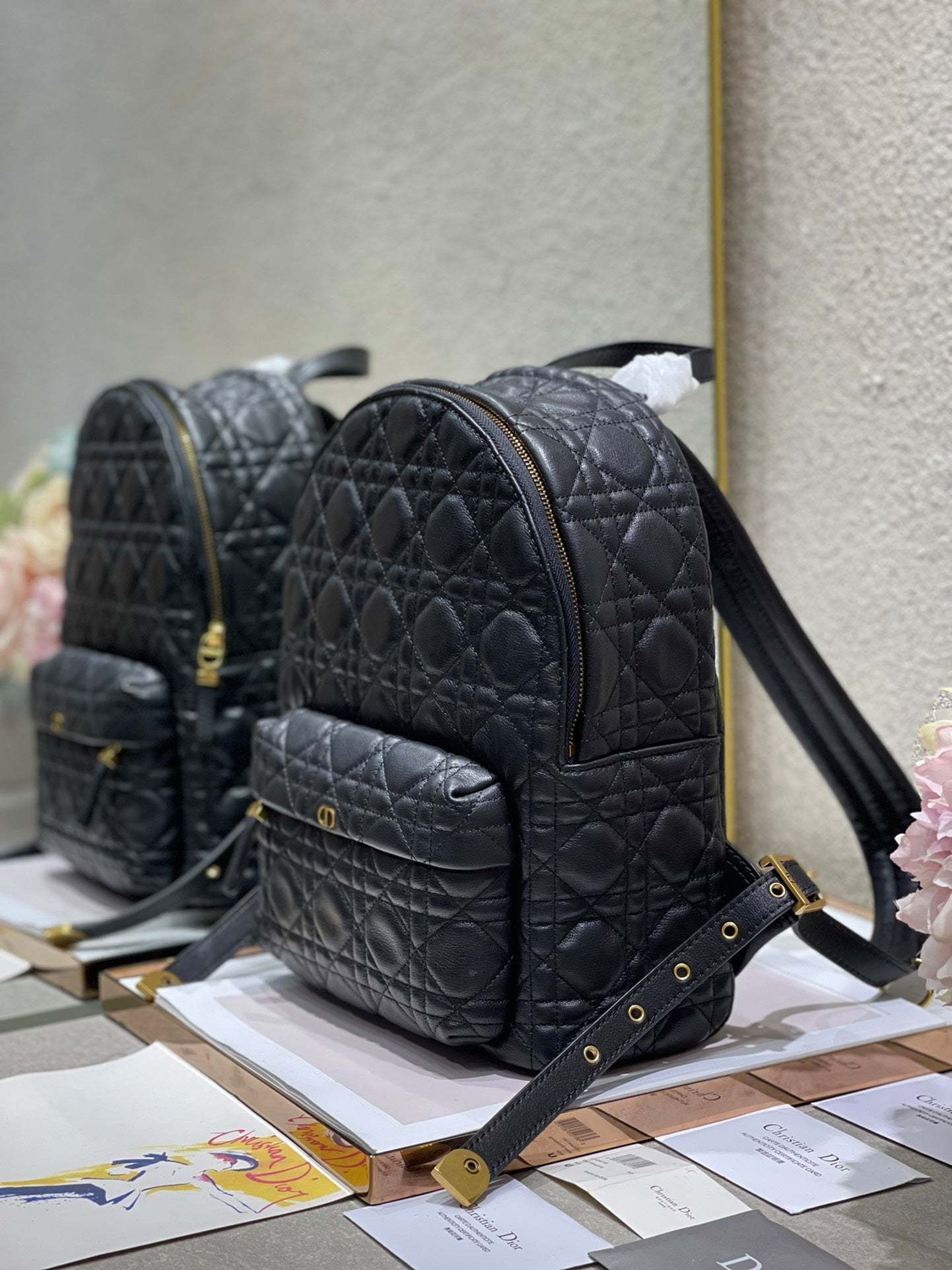 CD   Backpack
