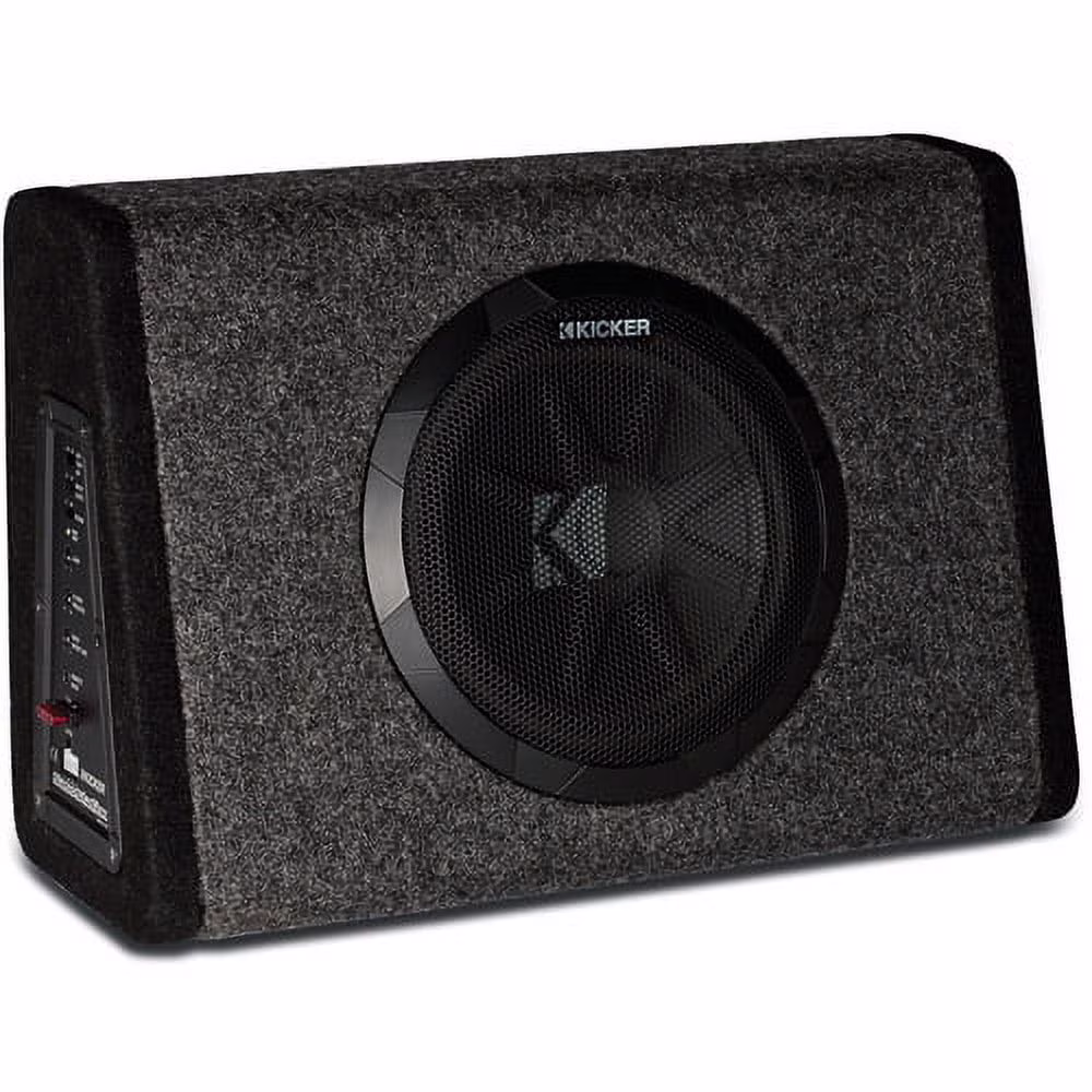New PT250 10" Subwoofer with Built-in 100W Amplifier