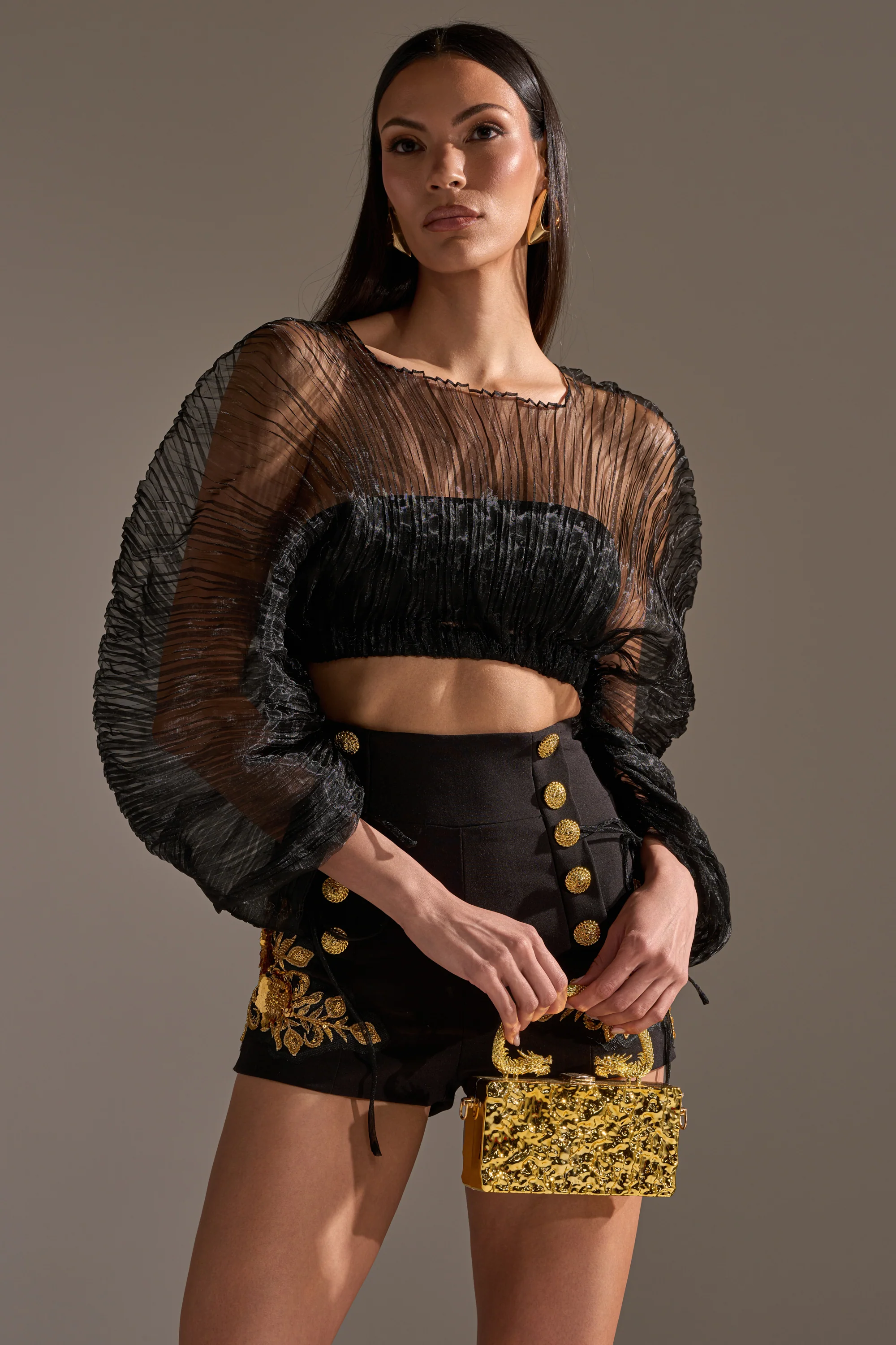 FORTUNES FAVORITE SHEER LONG SLEEVE CROP TOP - Akira Store