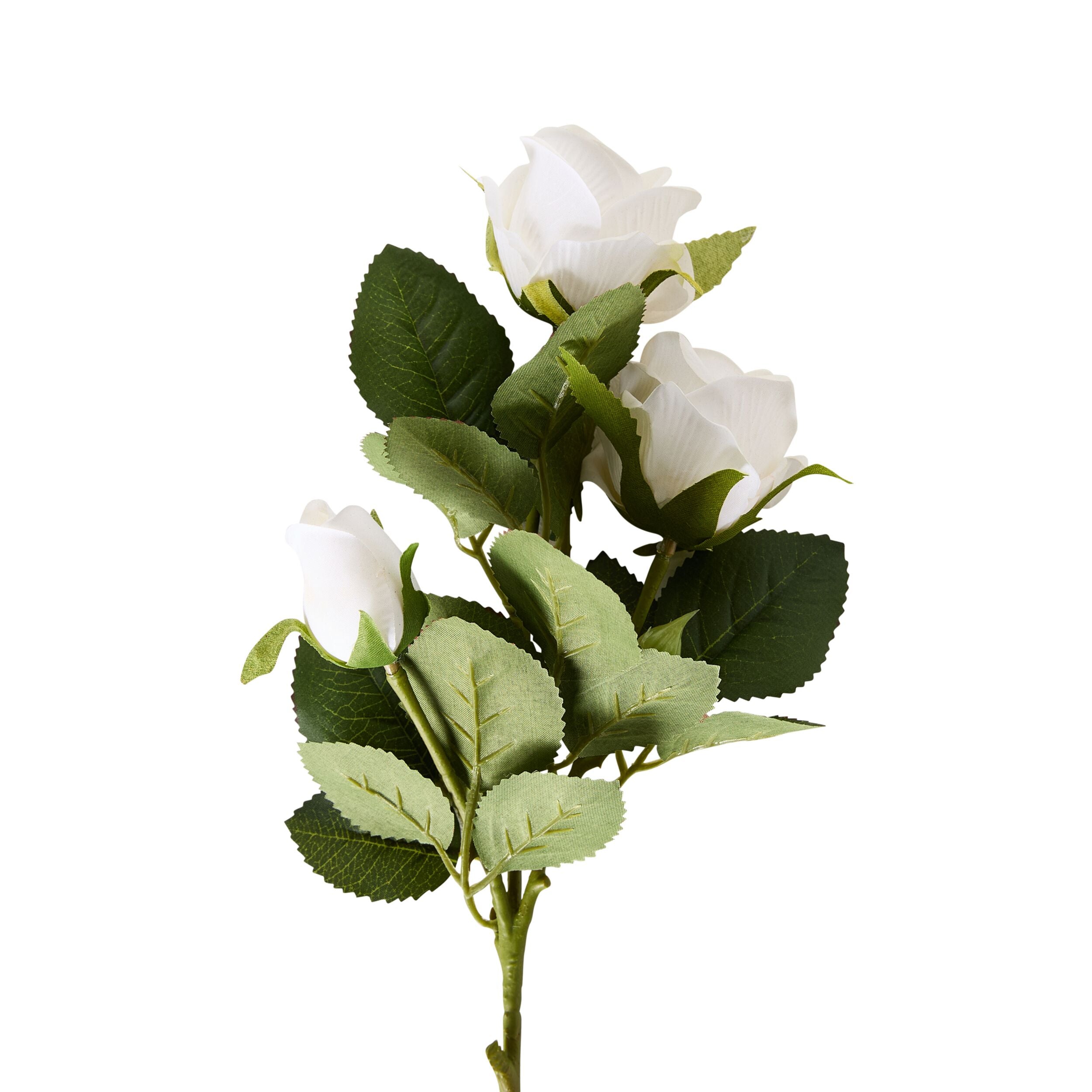 Bloomery Rose Stem White 51cm
