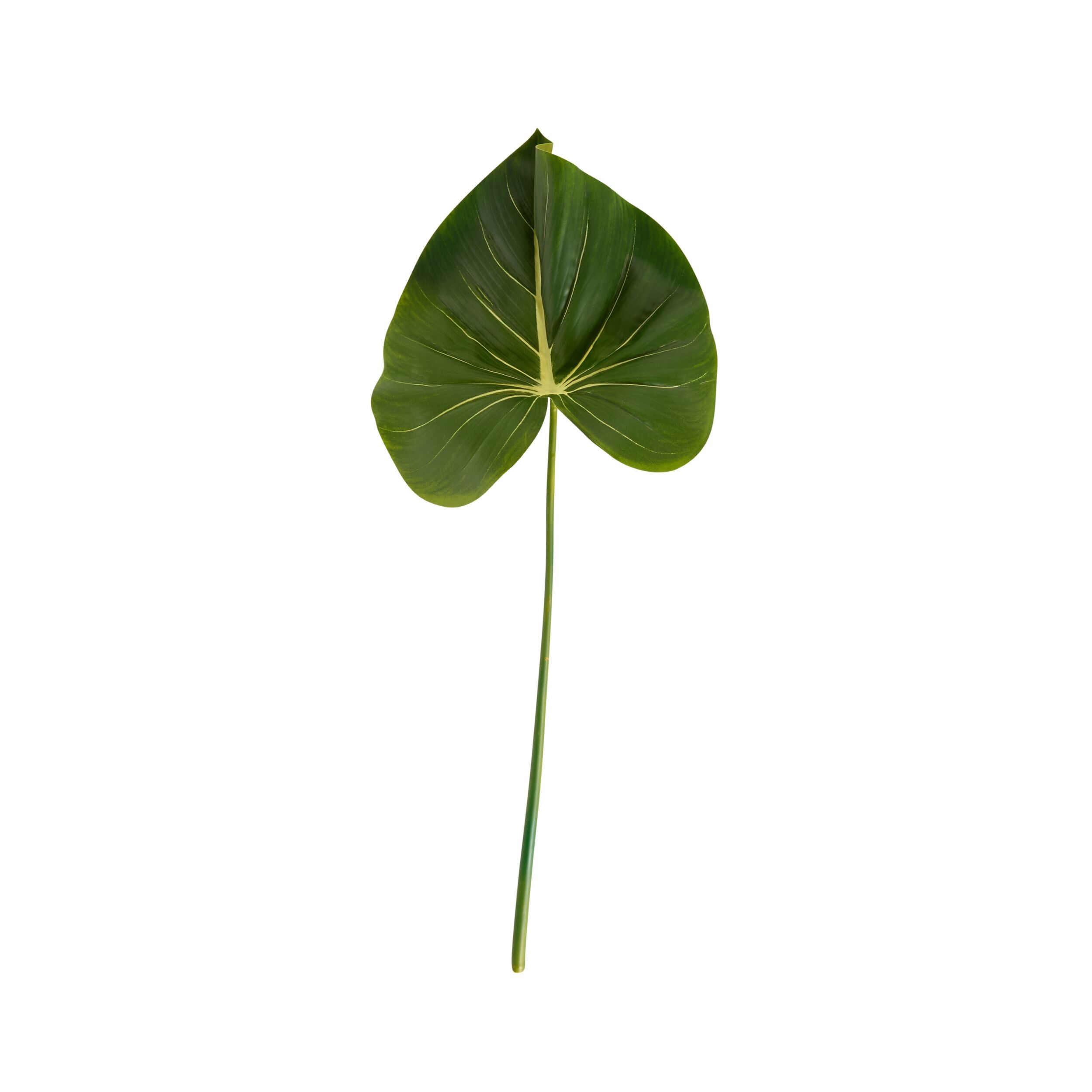 Bloomery Taro Leaf Stem 81cm