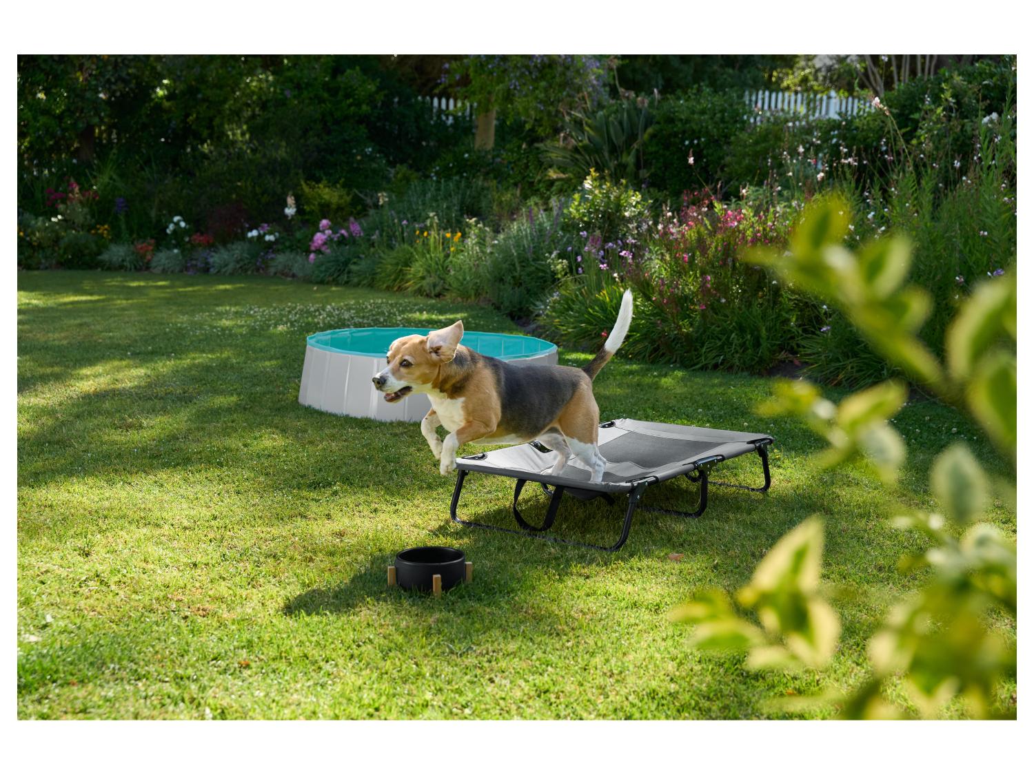 zoofari Lit de camp avec pare-soleil ou Panier pliant pour chien