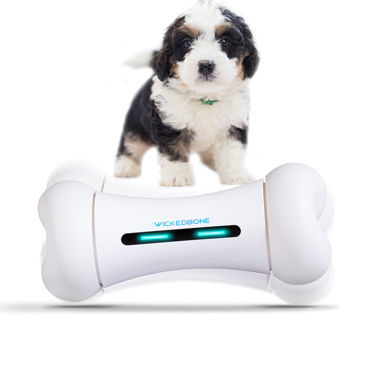 Wireless APP Control Interactive Dog Toy