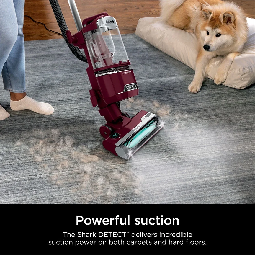 Detect Lift-Away ADV Corded Upright Vacuum with PowerFins Detect, Self-Cleaning Brushroll Odor Neutralizer Technology, LA492, Burgundy - Image 3