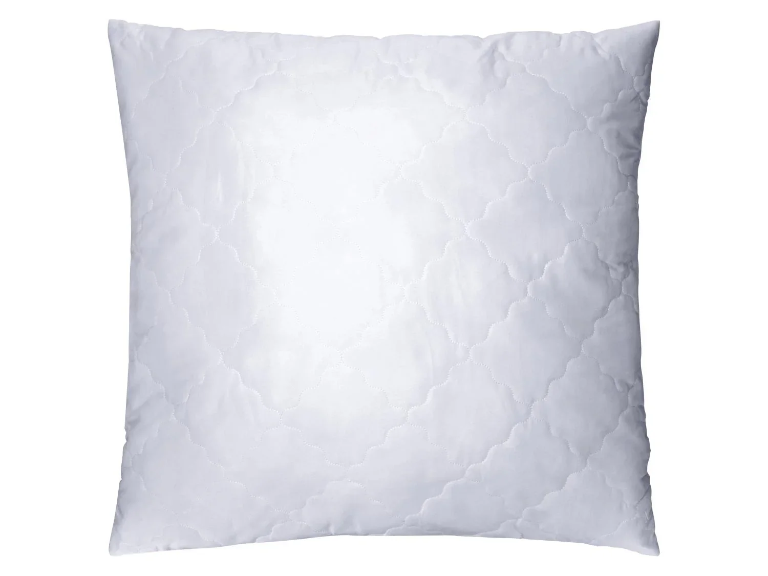 LIVARNO Oreiller lavable  haute temprature, 60 x 60 cm