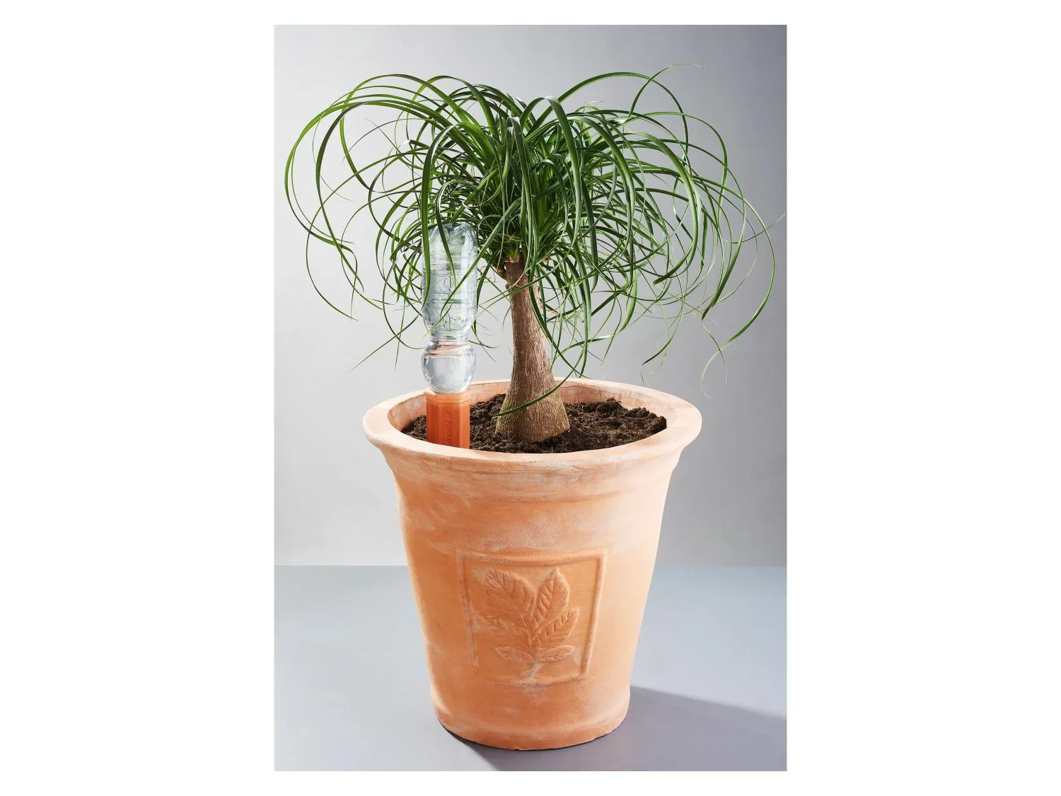 PARKSIDE Cnes ou Oya darrosage pour plantes