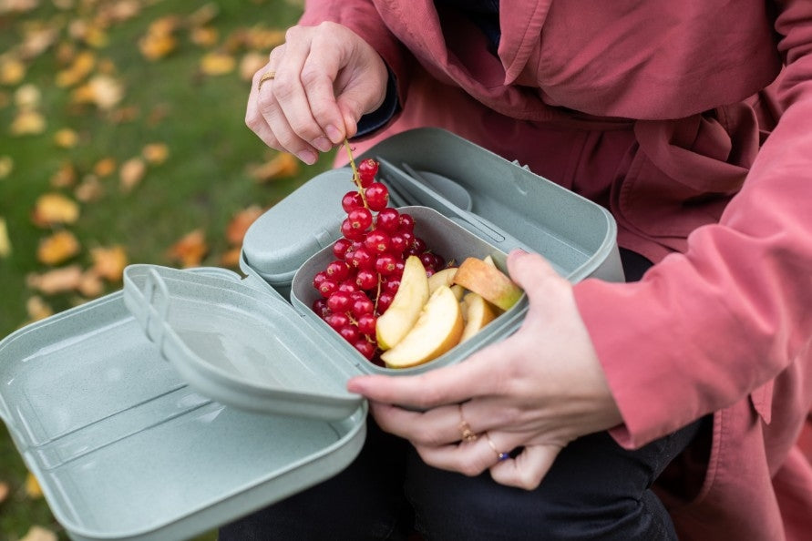 Lunchbox- en Bestekset, Organic Grijs - Koziol   Pascal Ready