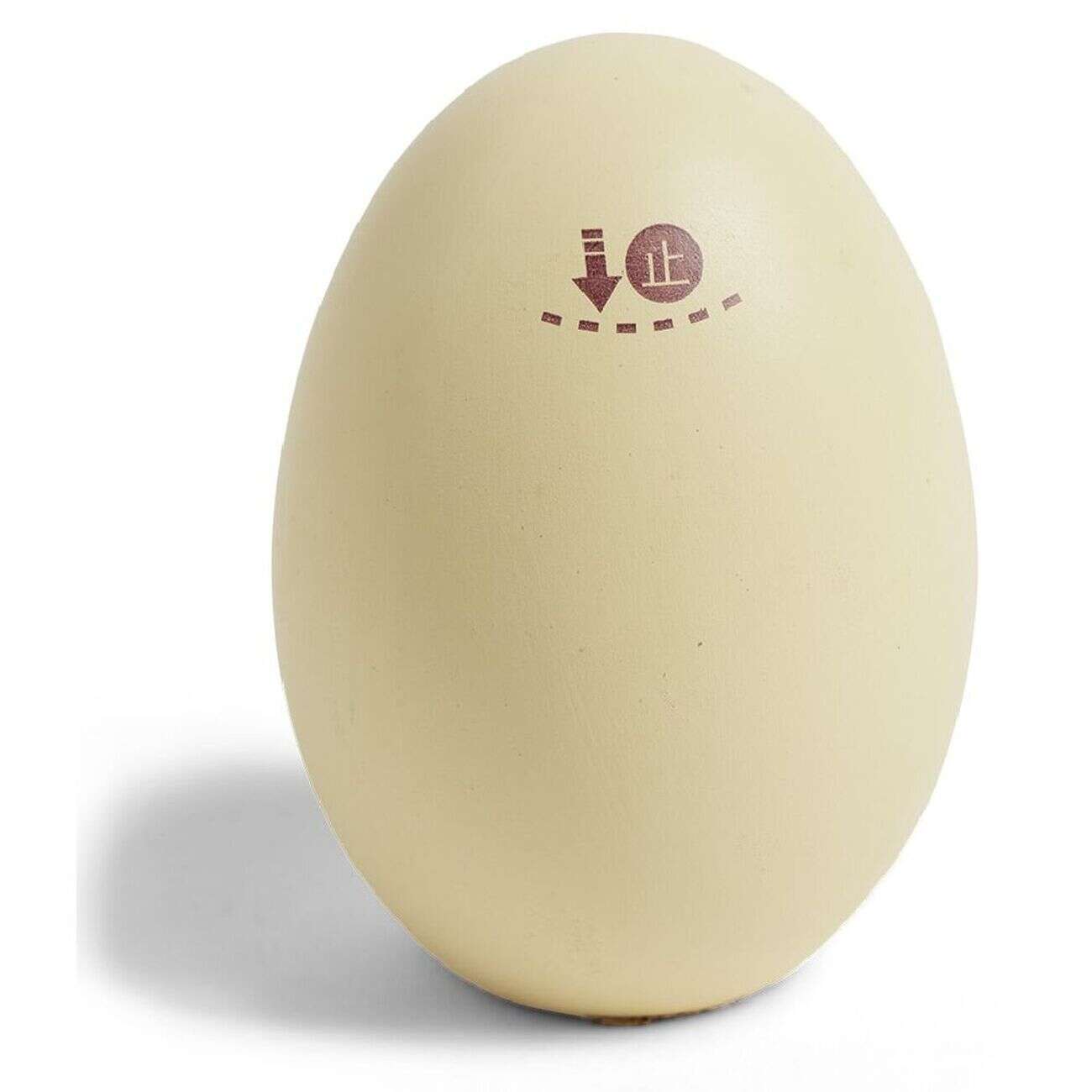 Haricot magique dans oeuf avec message