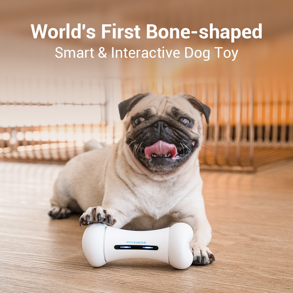 Wireless APP Control Interactive Dog Toy Eco-Friendly PC Material Active Moving Toy Classic and Modern Style