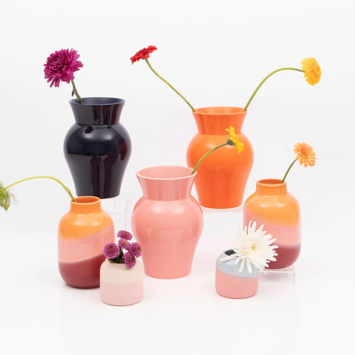 New In Vases