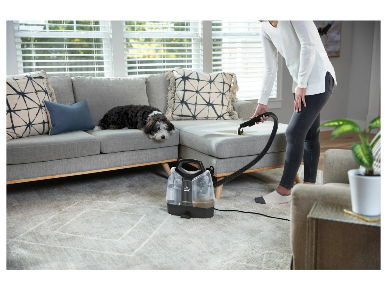 Bissell Nettoyeur de taches Spot Clean Pet Plus Black Titanium
