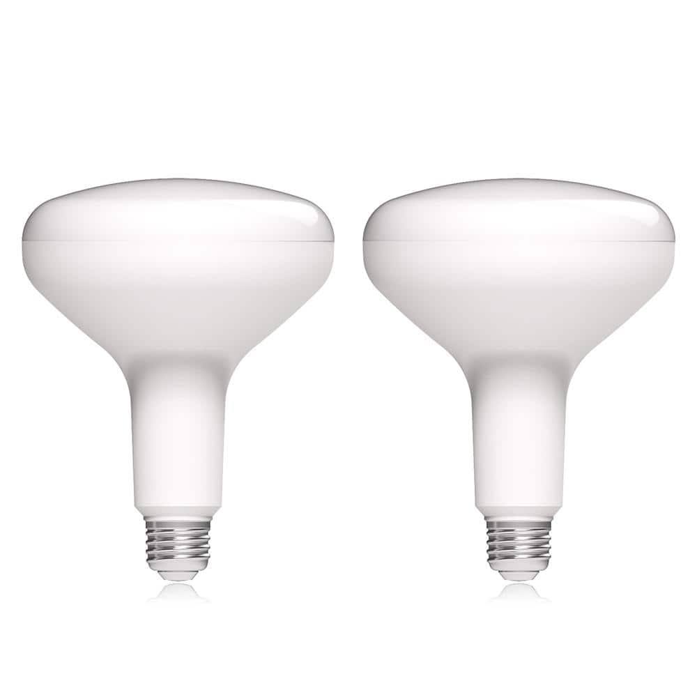Ecosmart 75-Watt Equivalent BR40 Dimmable Energy Star LED Light Bulb Bright White (2-Pack)