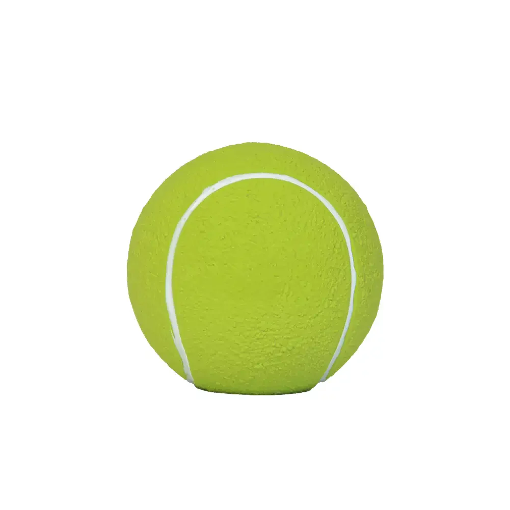 Durable Latex Teething With Squeaker Dog Chew Toy