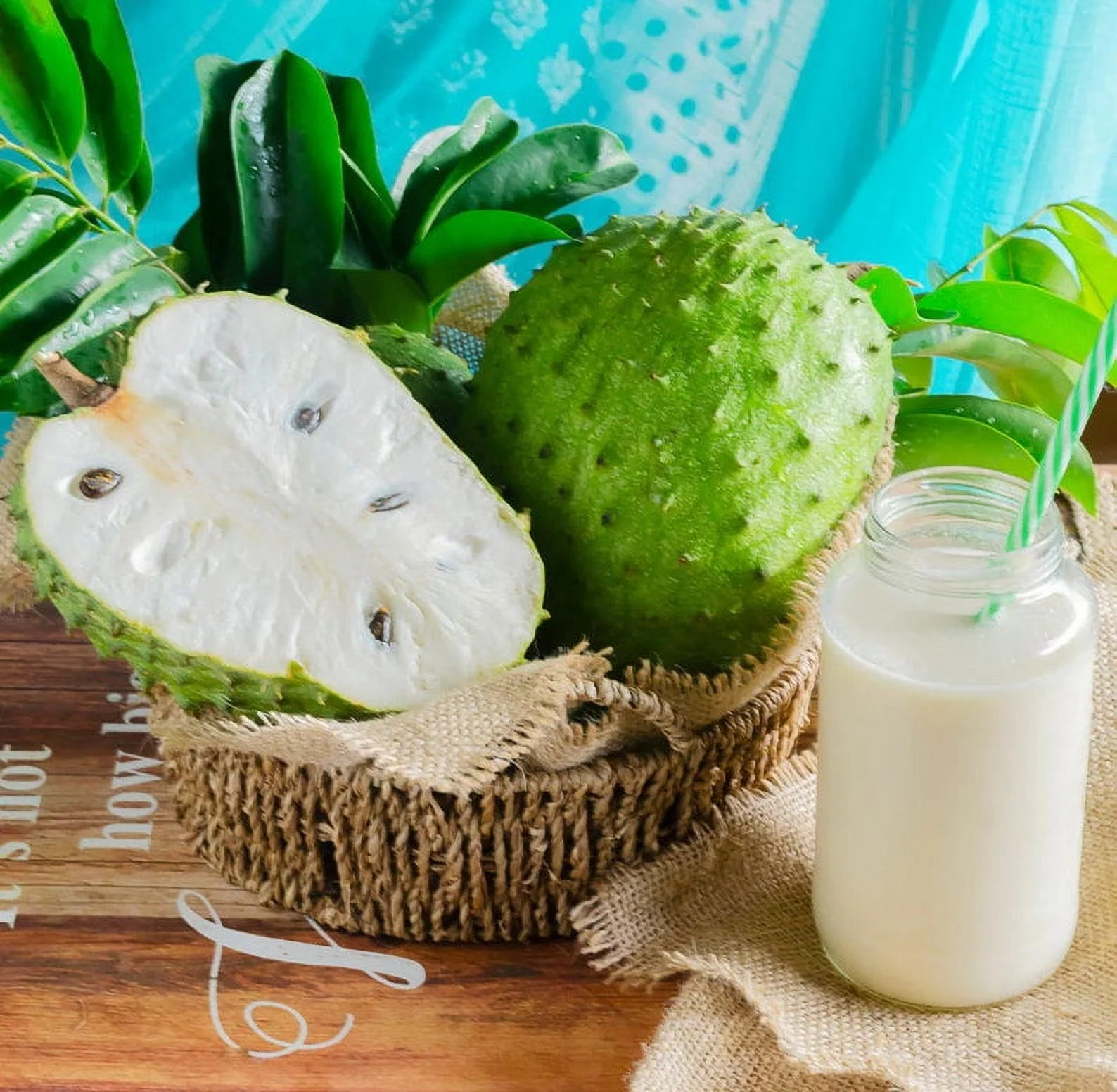 Soursop 'Guanabana' TREE. Ships Free to All States in 3 Gallons Pot