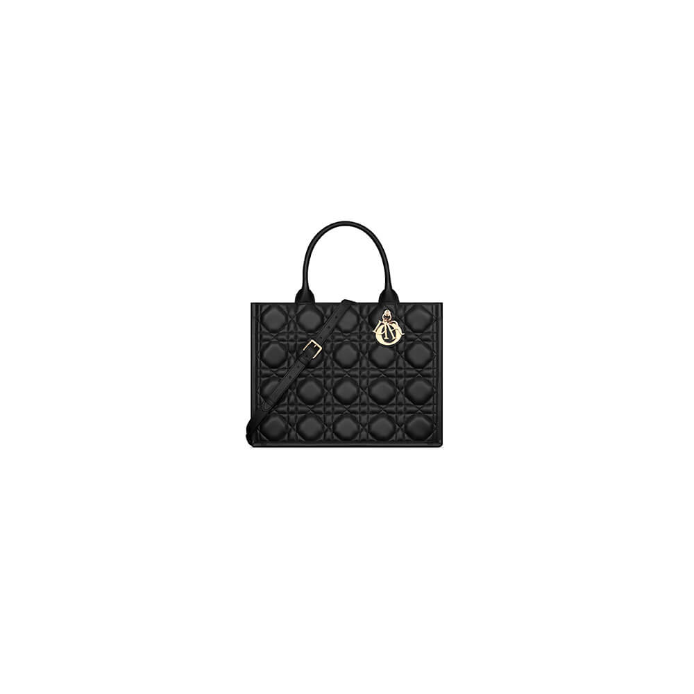Dior Medium Dior Book Tote