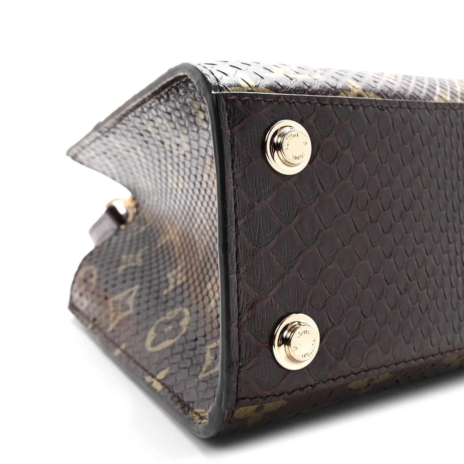 Snakeskin Monogram City Steamer Mini Brown