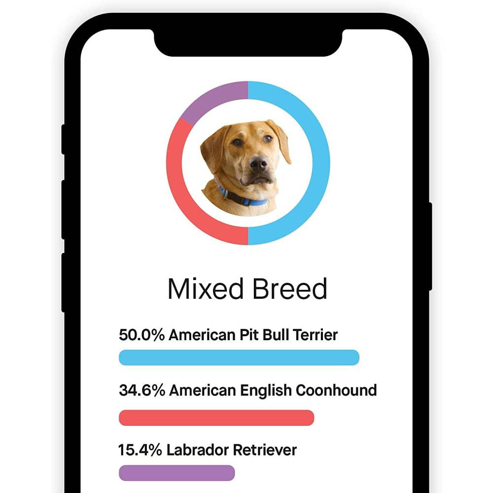 Test ADN canin Embark, kit d'identification de race