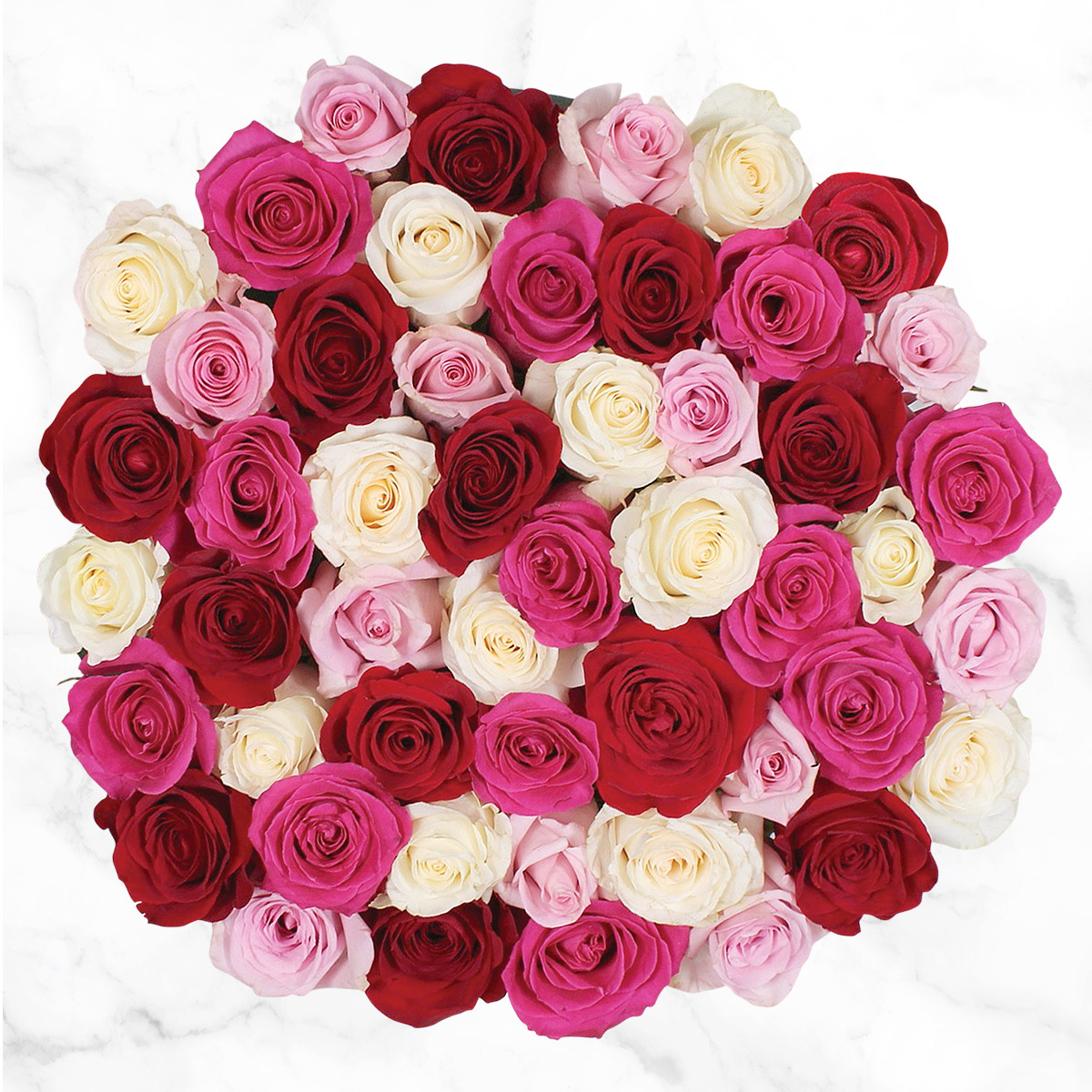 50-Stem Shades of Pink Quad Roses