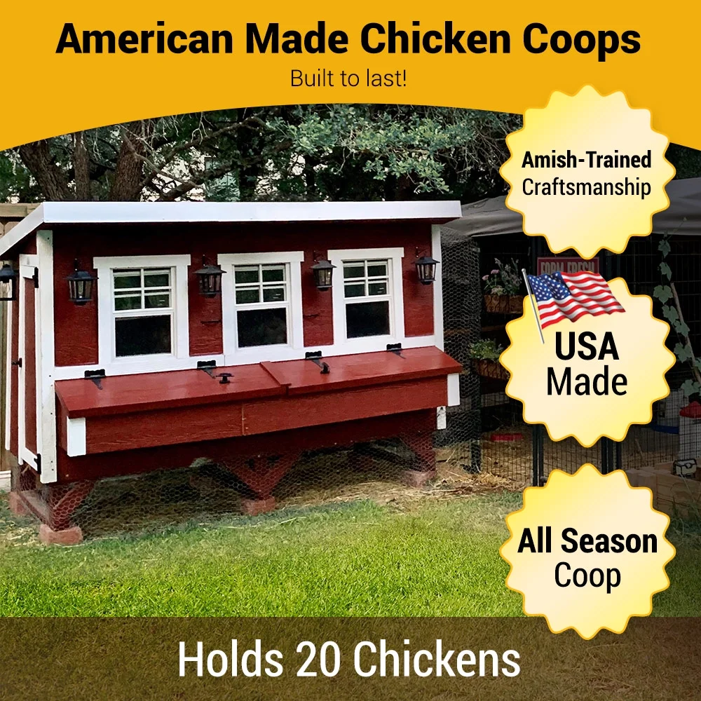 Chicken Coop XL | Hatching Time - Image 2
