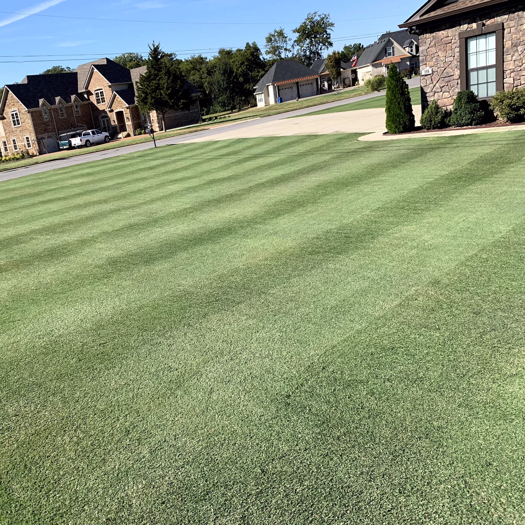 Yukon Bermuda Grass Seed 5 lbs Cold High Traffic Tolerant, Premium Hybrid Bermuda Turf Grass Seeds for Lawn, Ideal Low Maintenance Seed Grass for Colder Challenging Area(5 lbs)