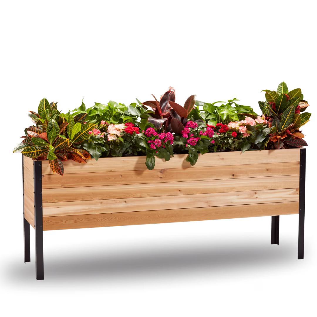 18 x 72 Raised Garden Bed