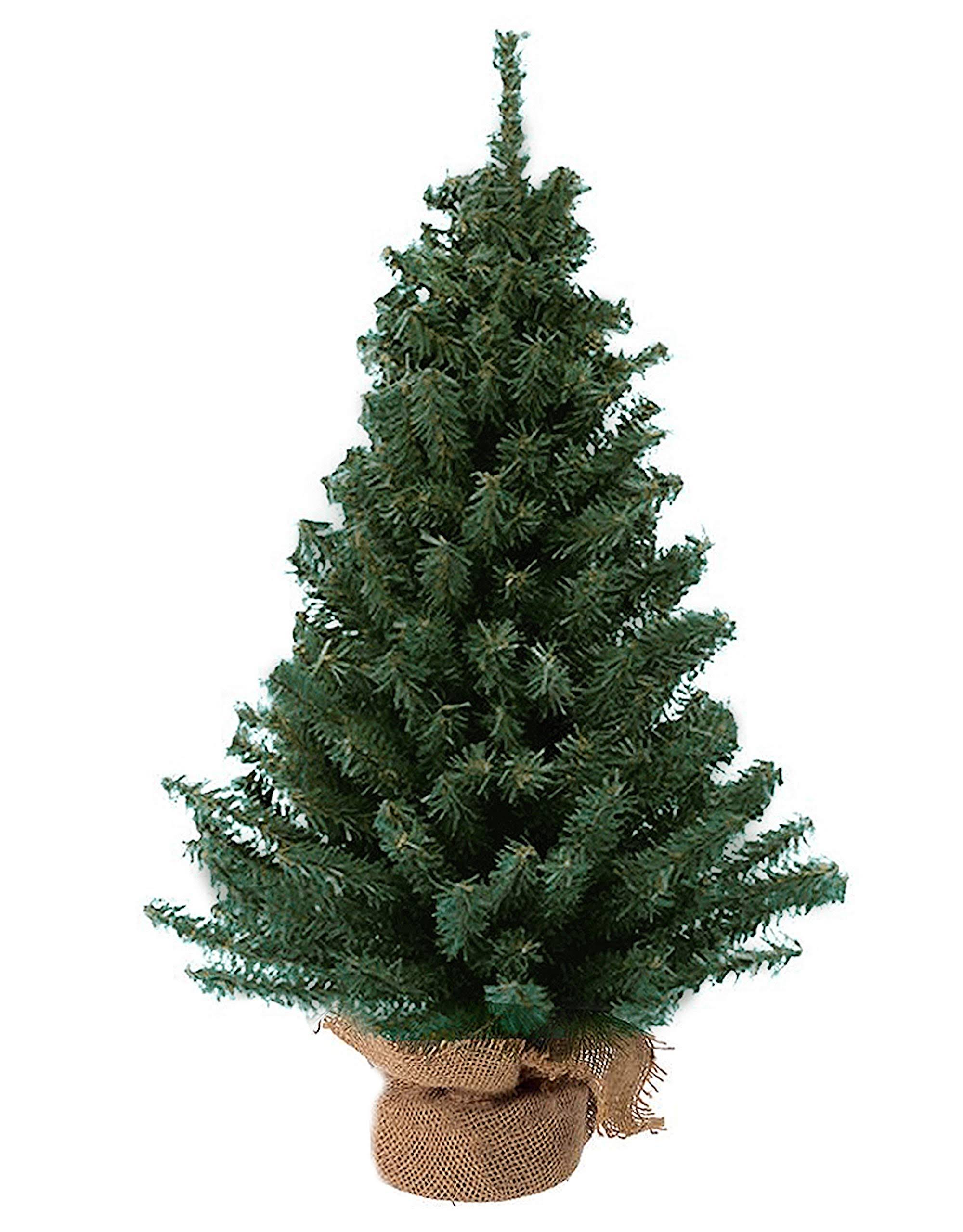 Kurt Adler Christmas Tree 12 inch Mini Pine Tree