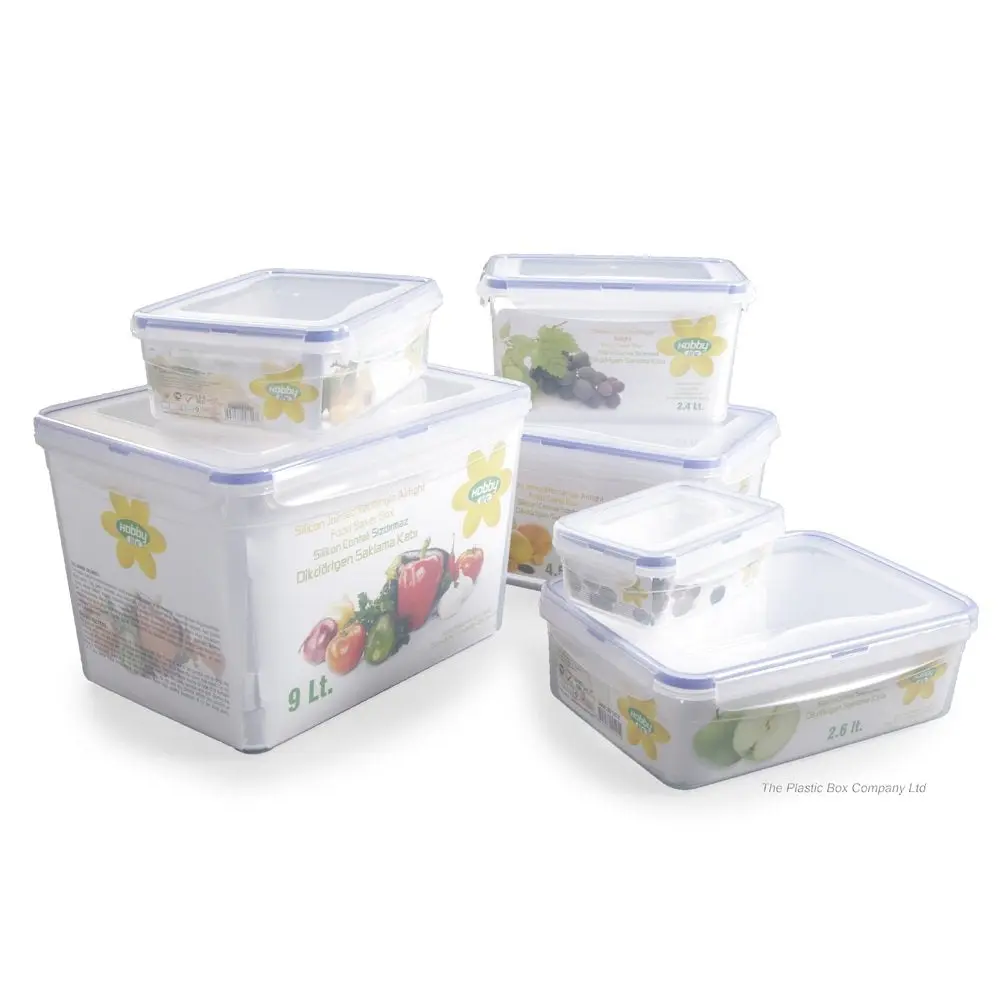 9 Litre Rectangular Plastic Food Box With Clip Lid