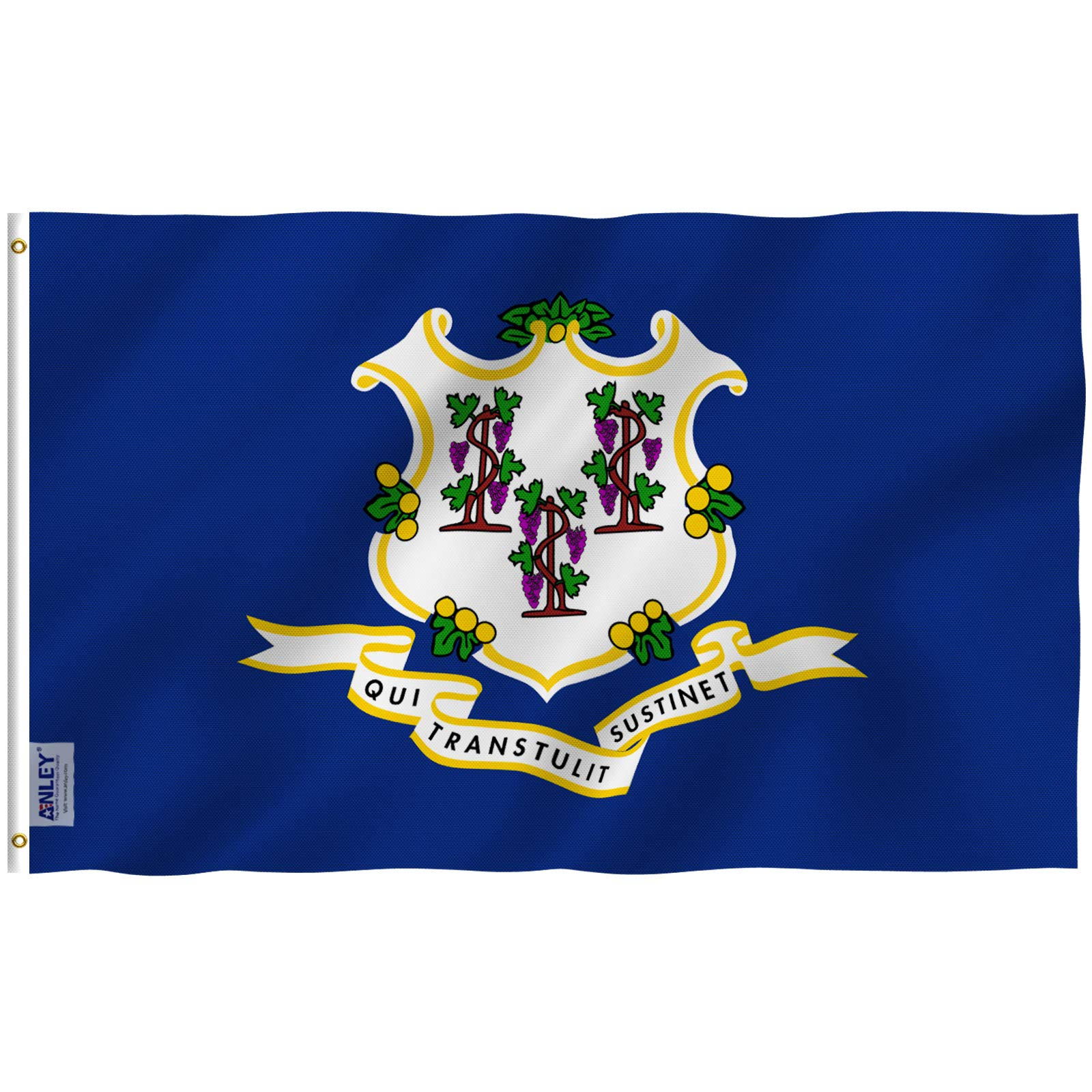 Anley Fly Breeze 5-ft W x 3-ft H State Connecticut State Flag
