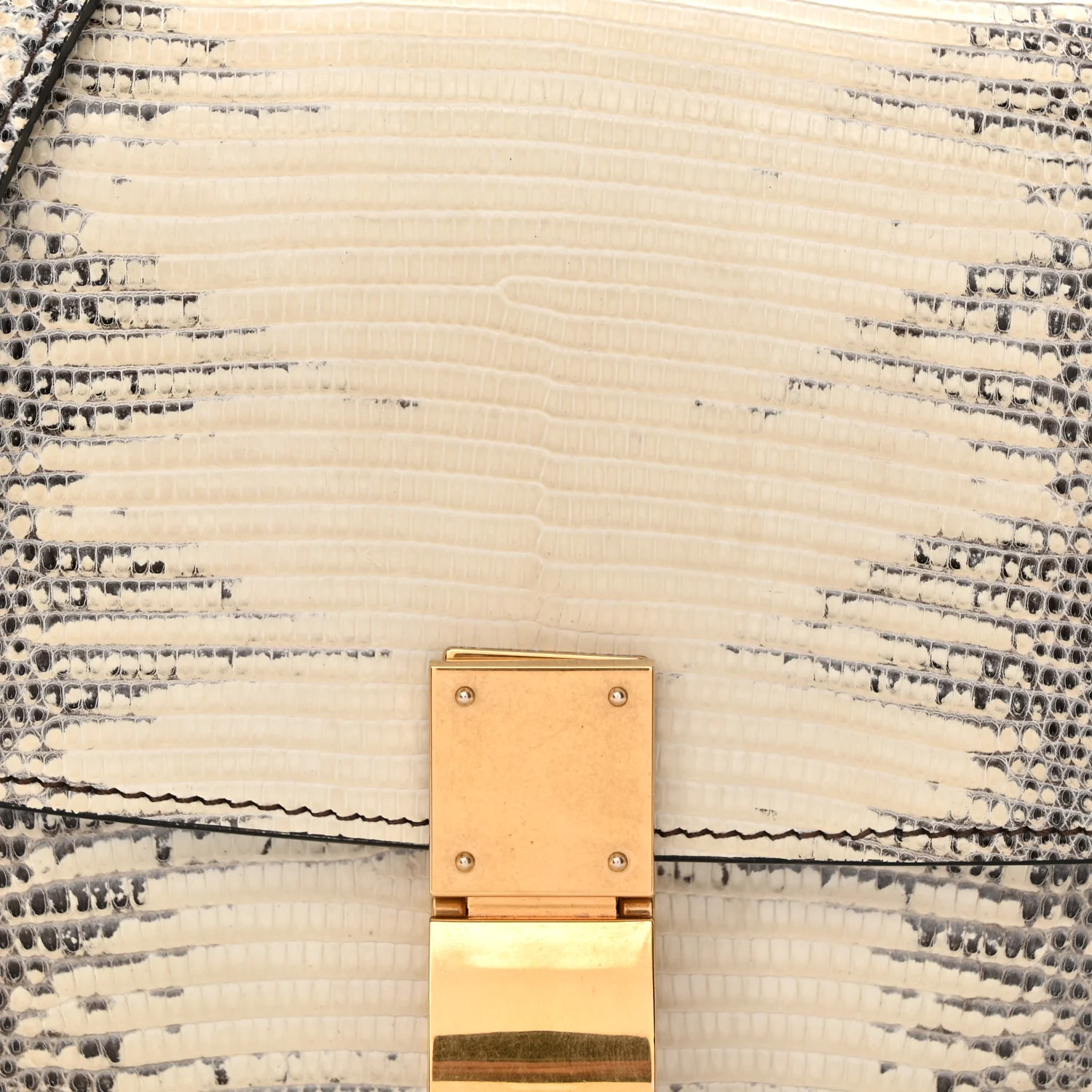 Lizard Small Classic Box Flap Bag Natural