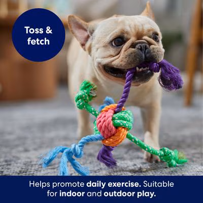 Frisco Fetch Colorful Ball Knot Rope Dog Toy