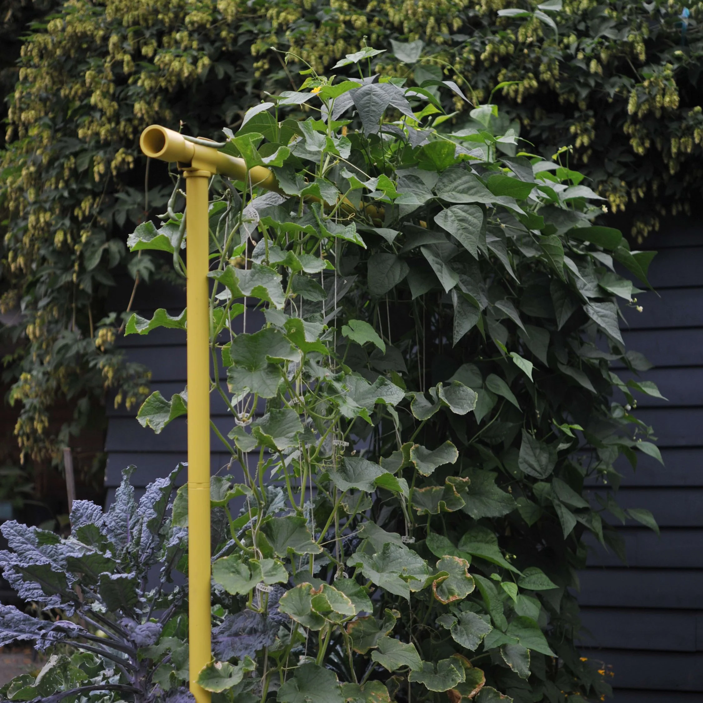 Freyr Garden Trellis Kit