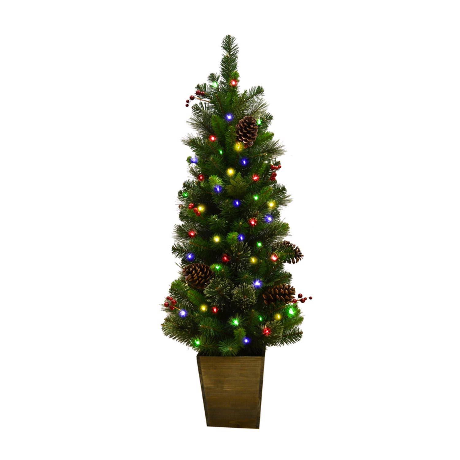 Celebrations 4 ft. Slim LED 50 Lights Mixed Cedar Pine Christmas Tree