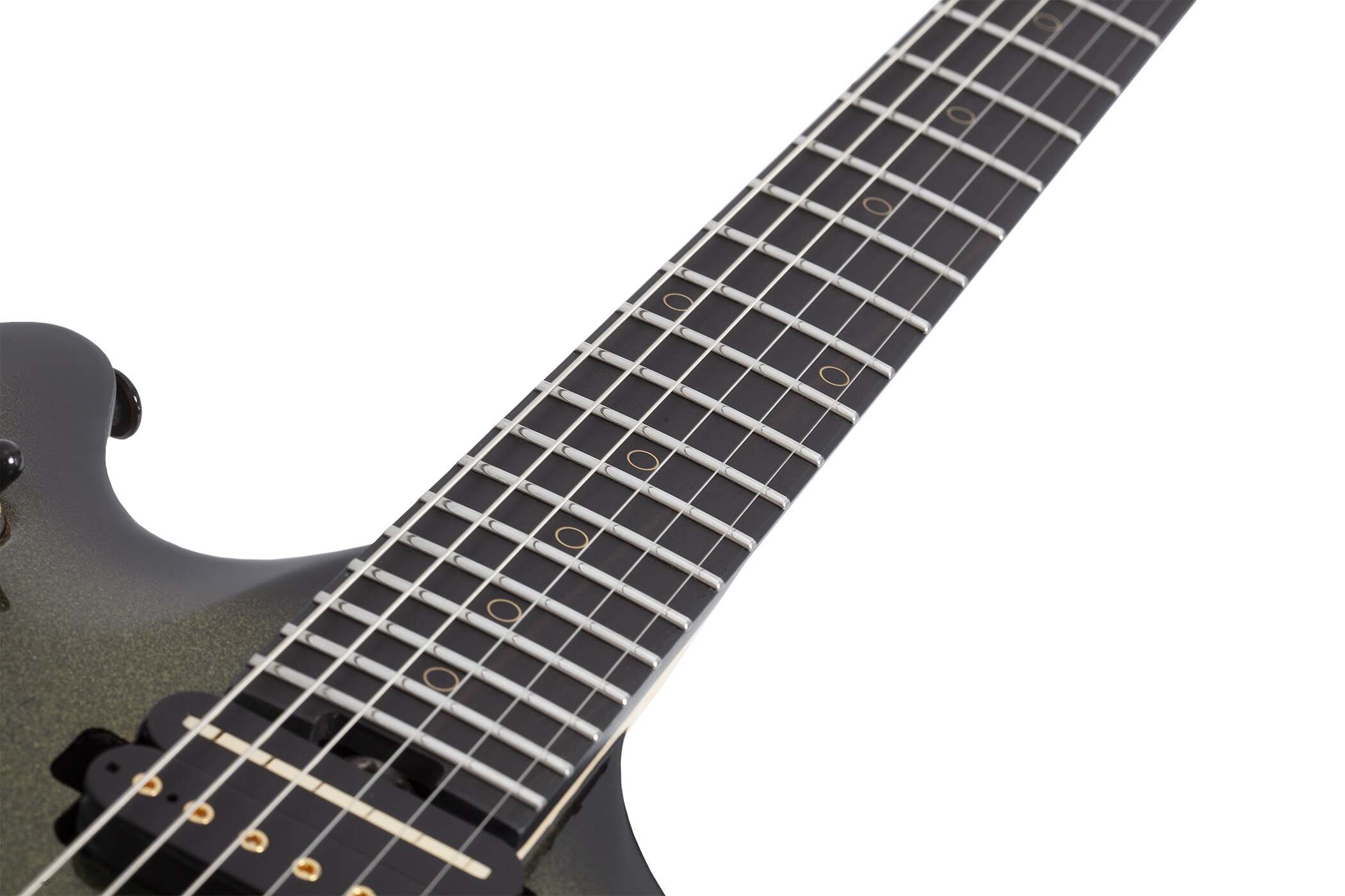 Tempest 50th Anniversary