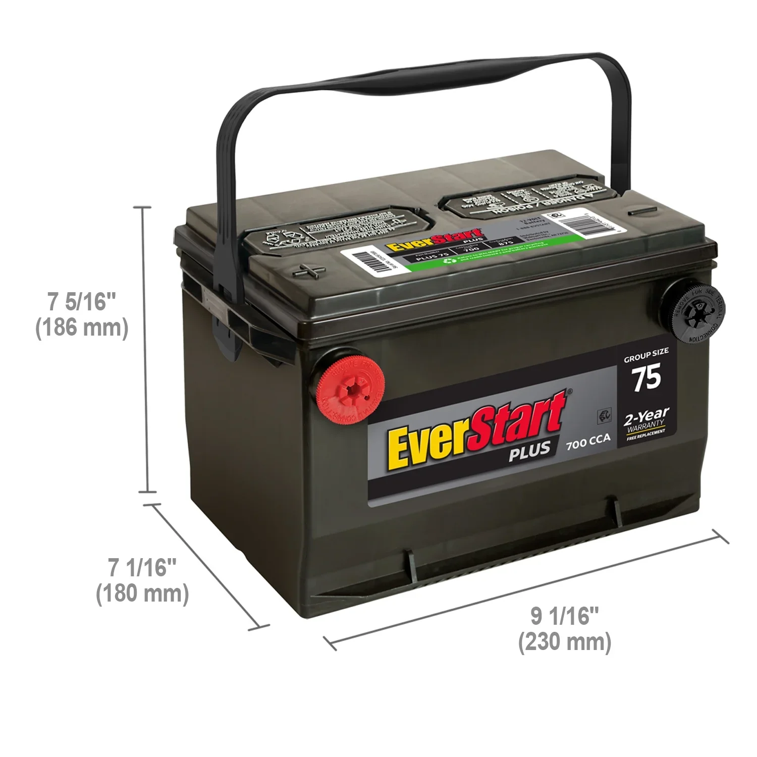 EverStart Plus Lead Acid Automotive Battery, Group Size 75 12 Volt, 700 CCA