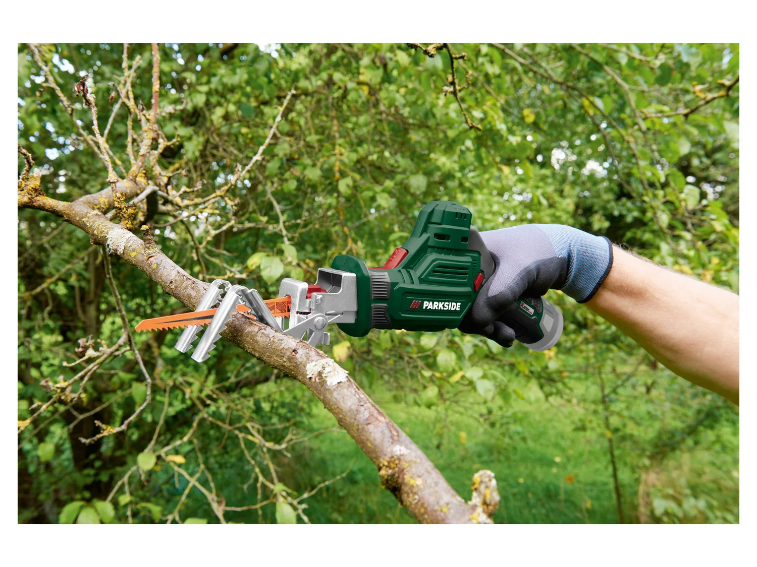 PARKSIDE Coupe-branches sans fil PAAS 12 A2, 12 V