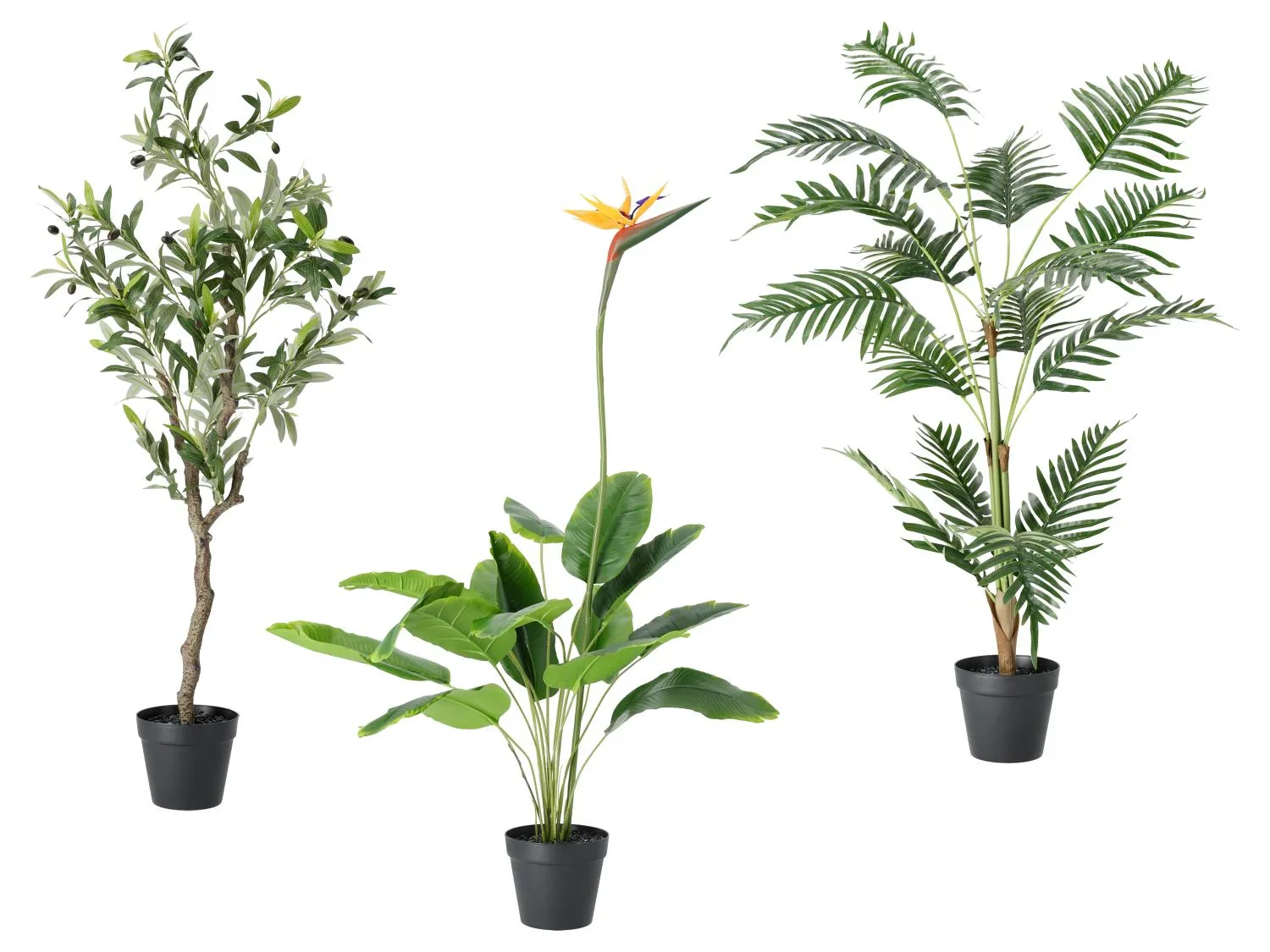 LIVARNO Plante artificielle