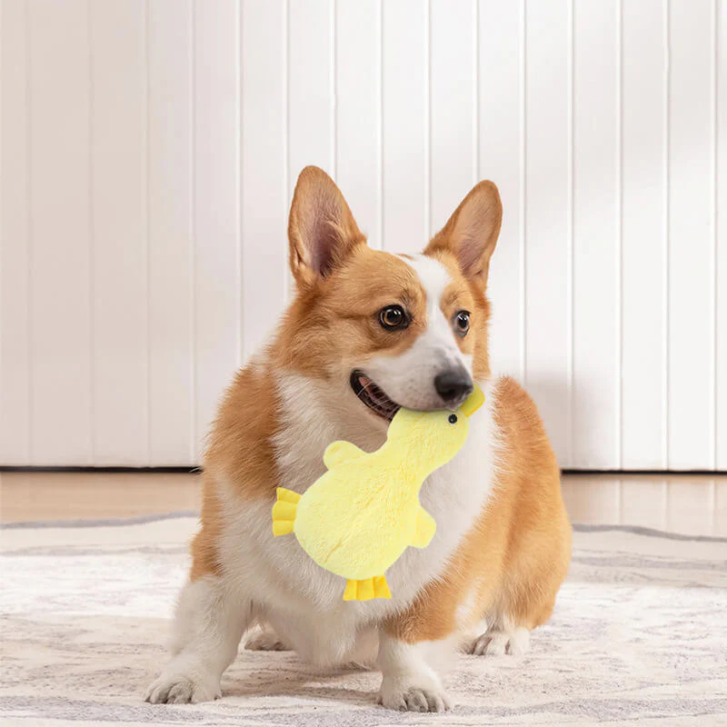 Cute Duck Plush Toy With Squeaker Dog Chew Toys