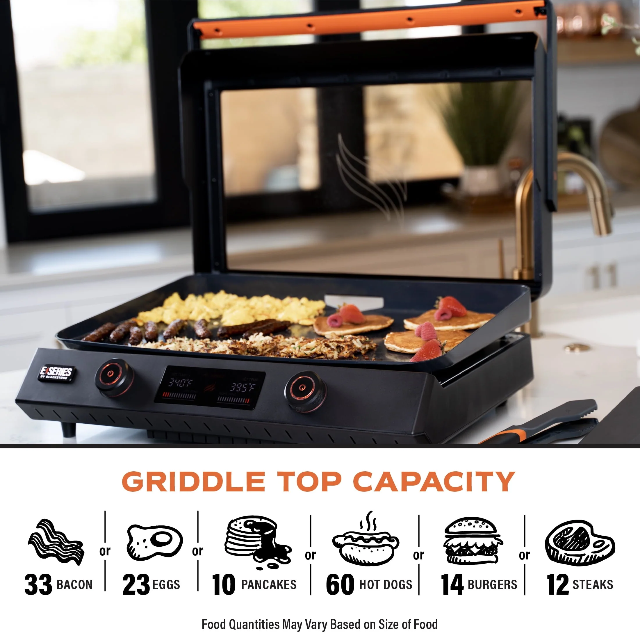 Blackstone E - Series 2 - Burner 22