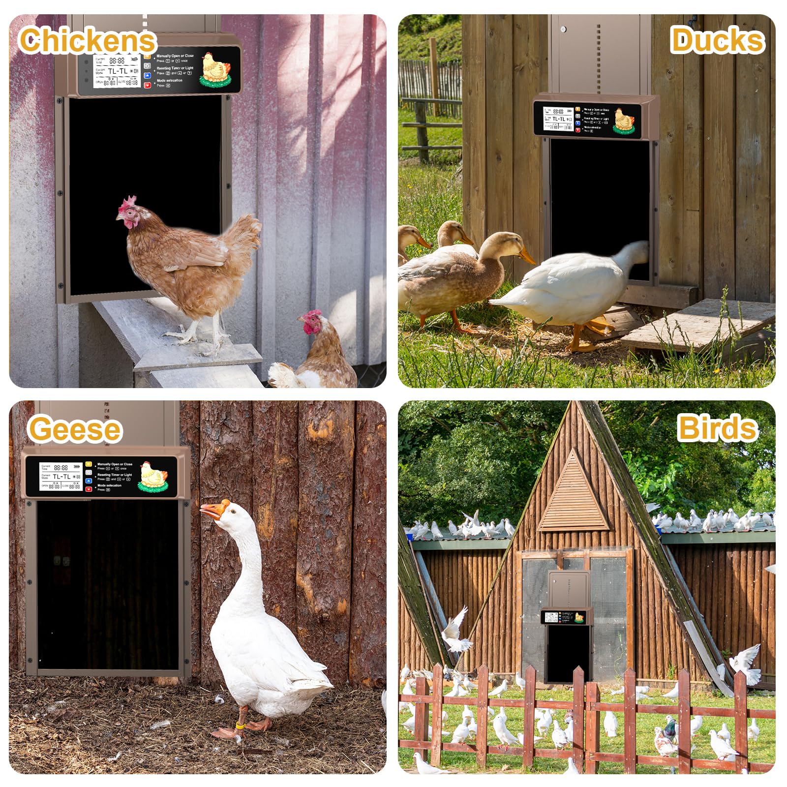 NyPots Automatic Chicken Coop Door Solar Powered