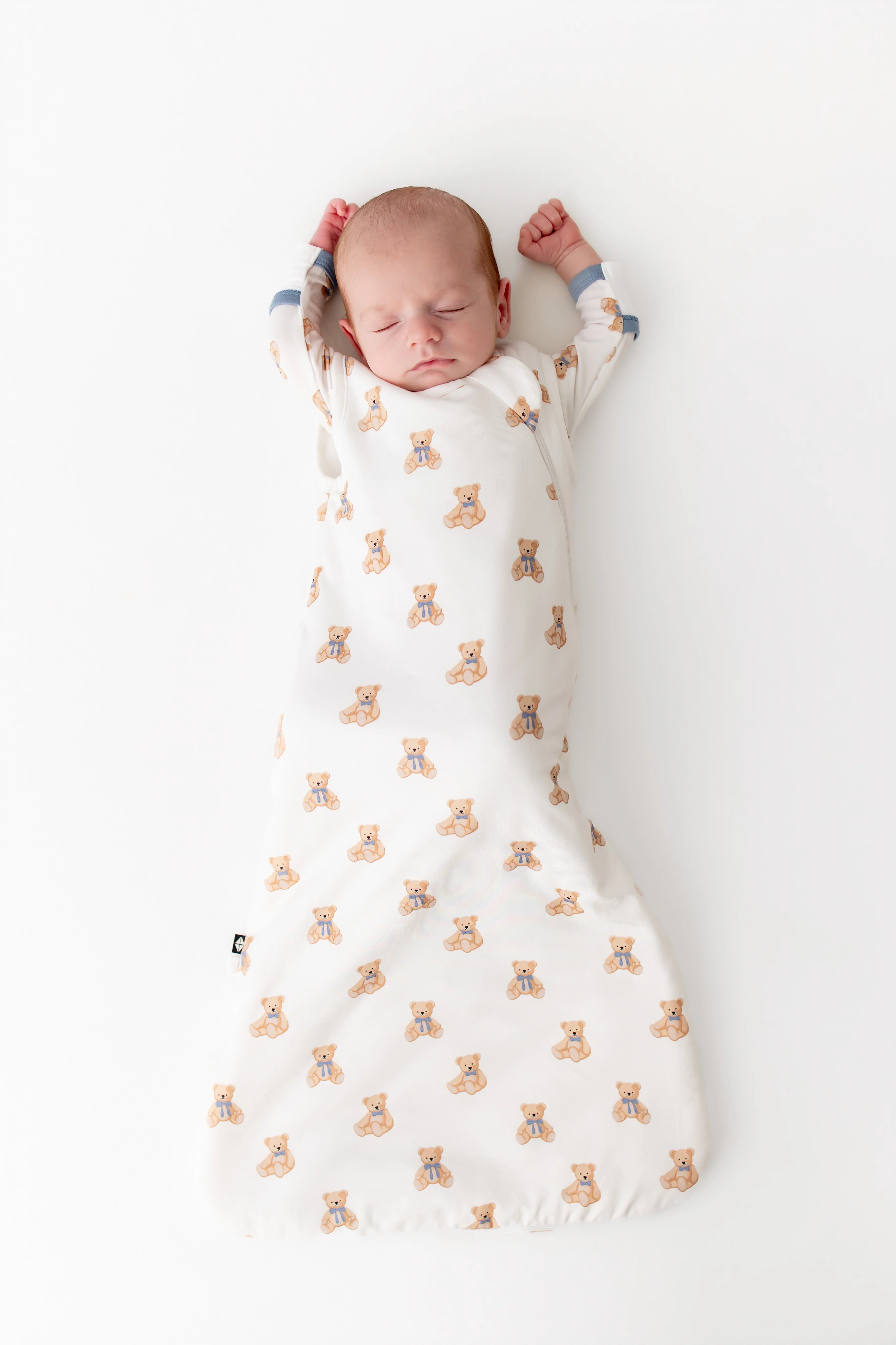 Sleep Bag in Teddy Bear 1.0
