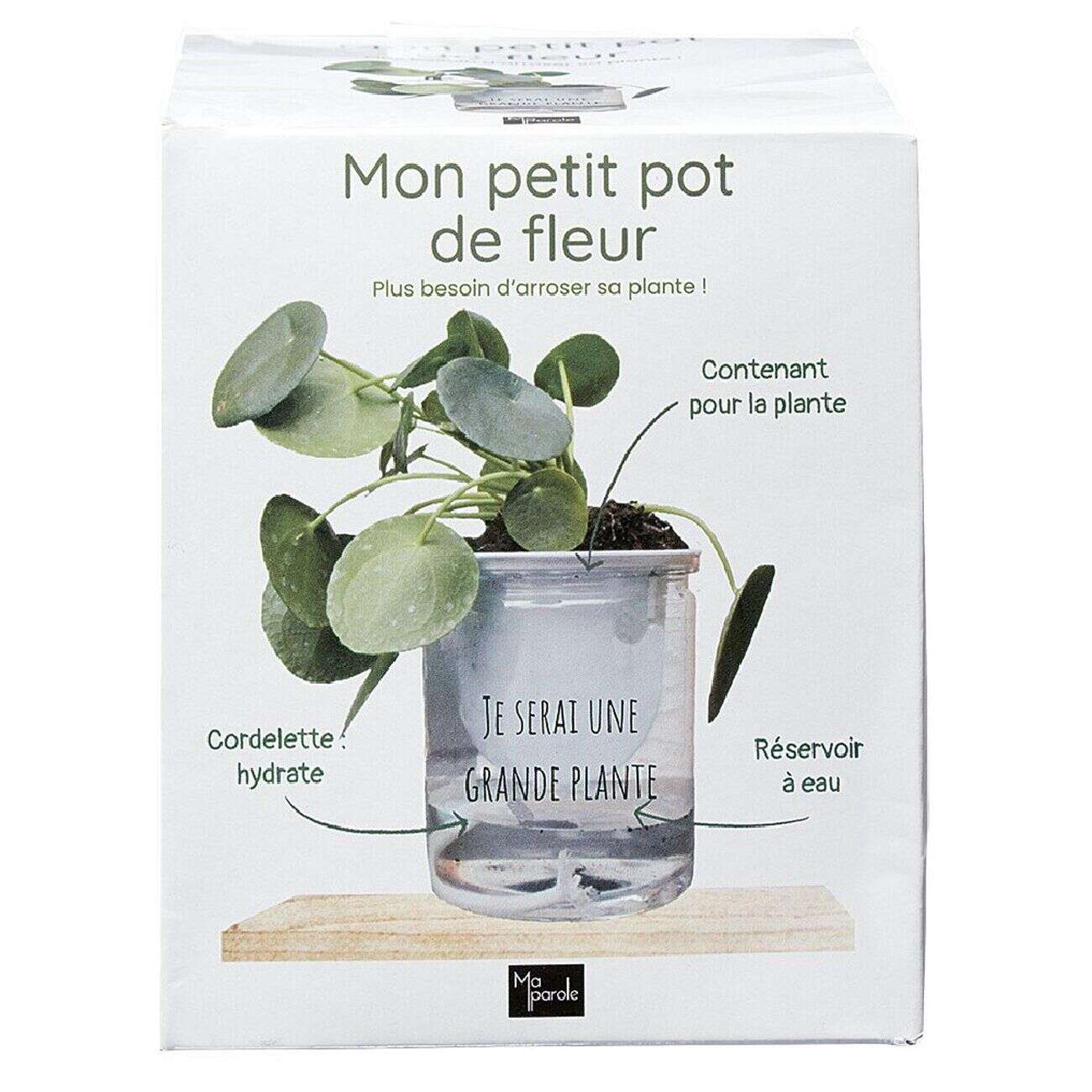 Mon petit pot de fleur