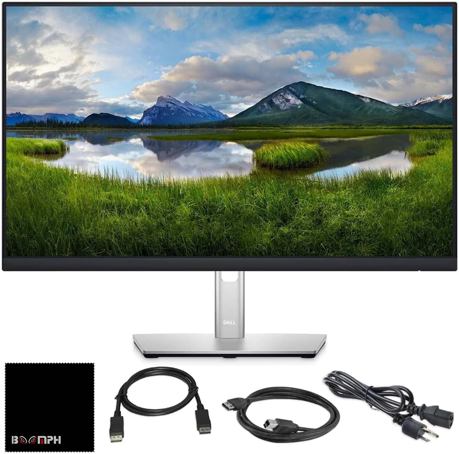 Dell P2425H 24