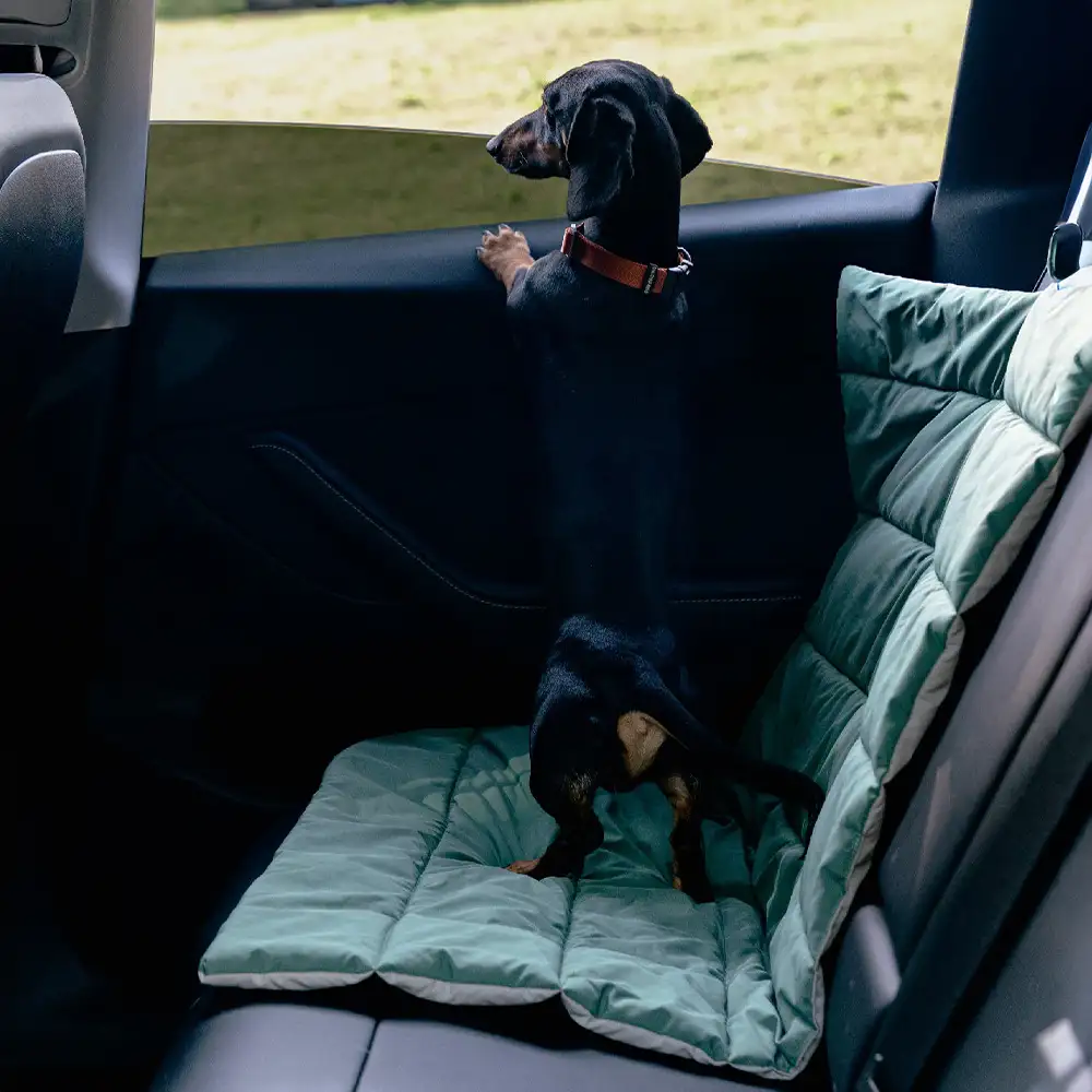 Portable Foldable Double-Sided Water-Repellent Dog Mat for Outdoor Travel & Camping