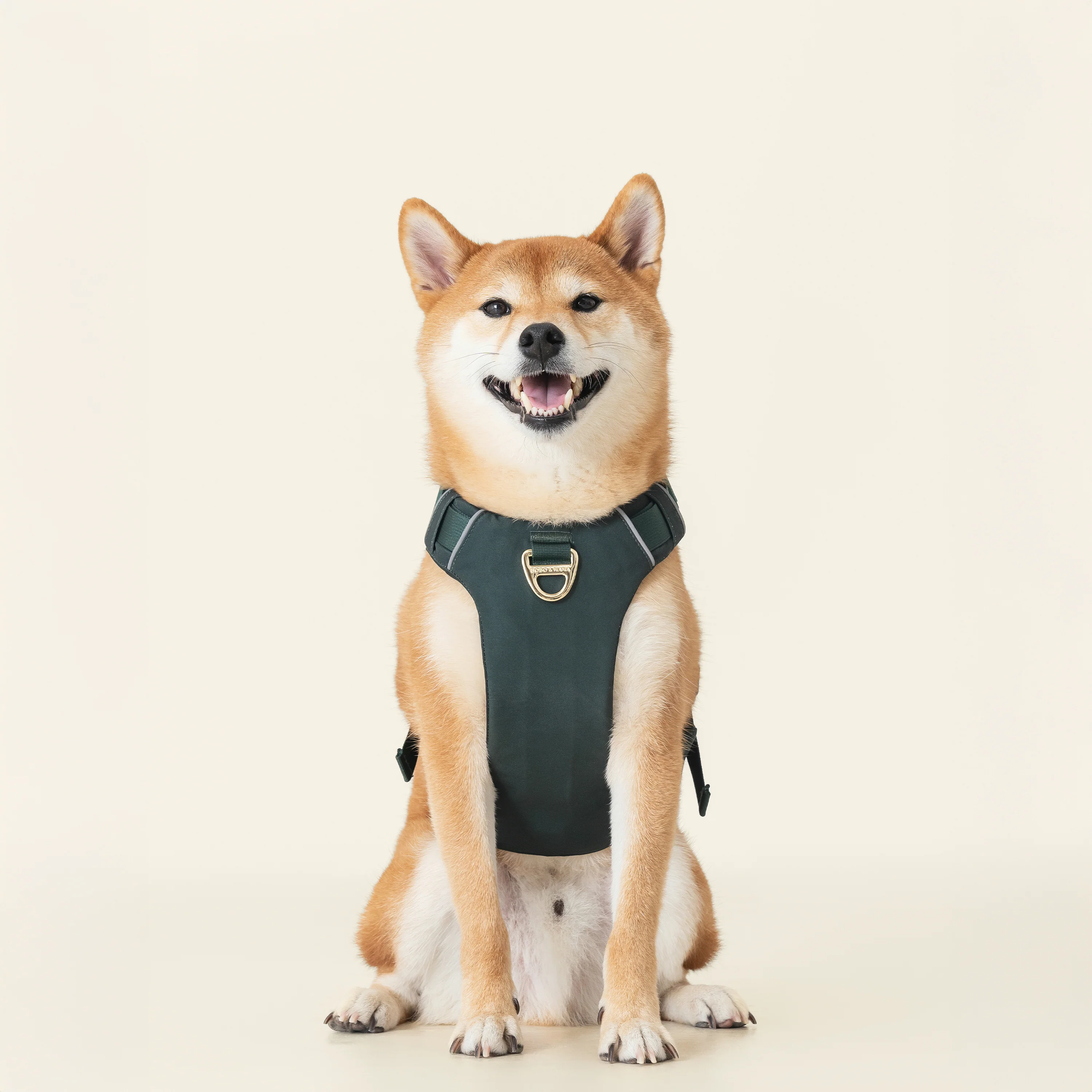 Harness- Forest Green