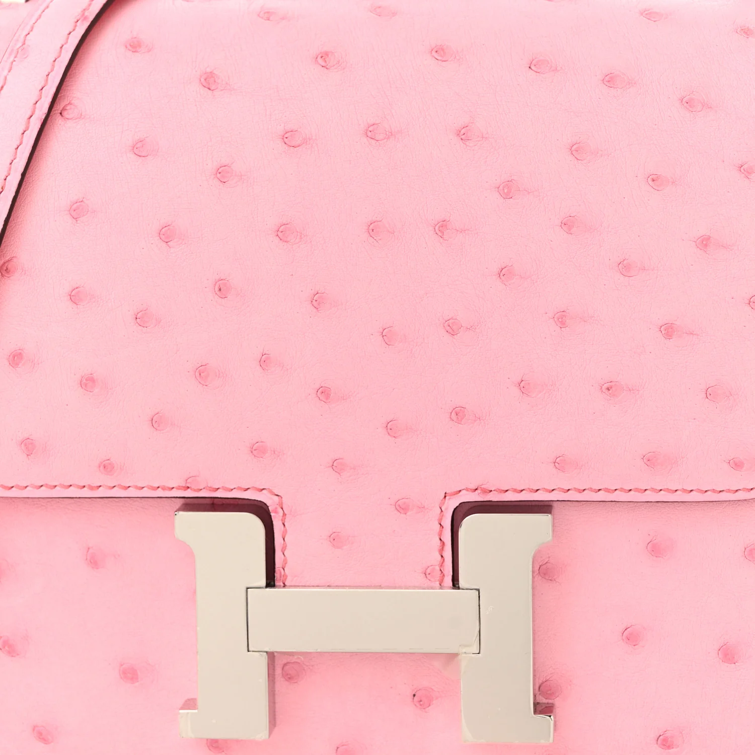 Ostrich Constance 18 Bubblegum
