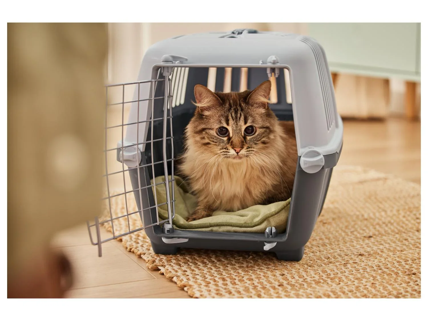 zoofari Bac  litire pour chat ou Caisse de transport