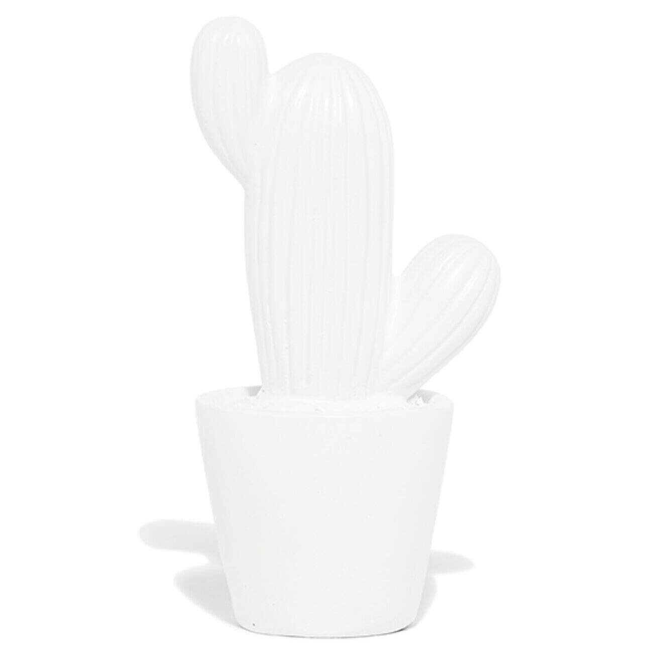 Décoration pot cactus