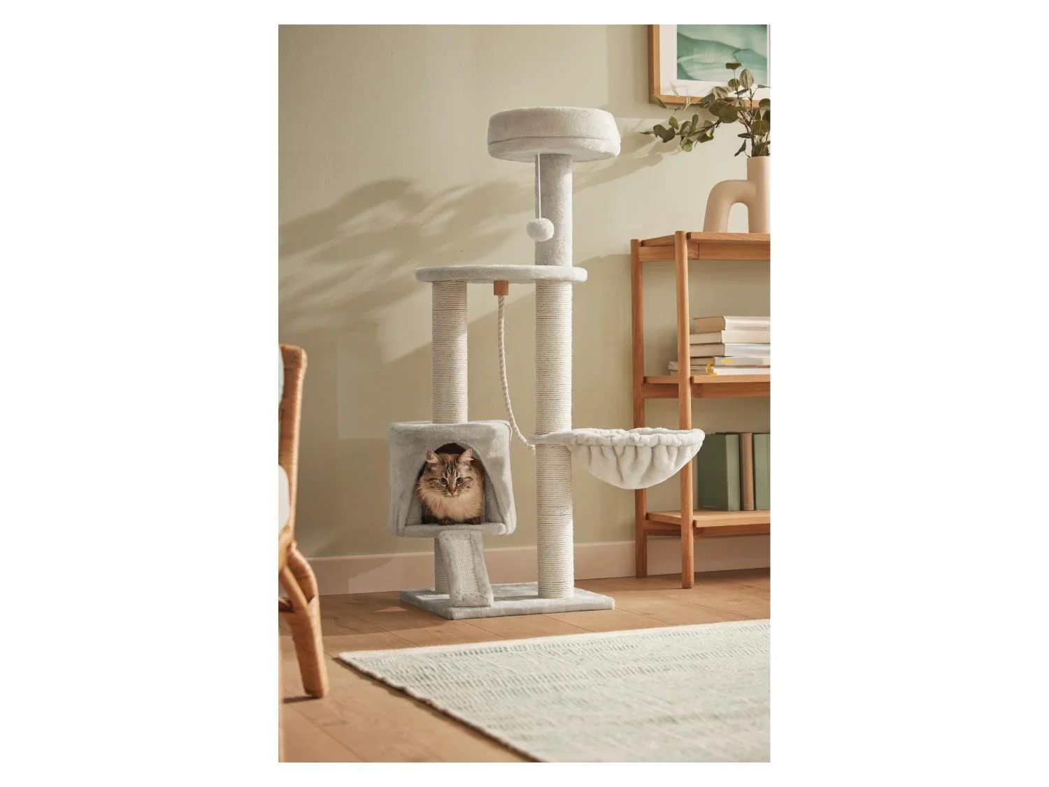 zoofari Arbre  chat, 70 x 115 x 50 cm